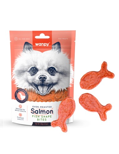 Wanpy Salmon Fish Shape Bites 100g - ronnypet.it